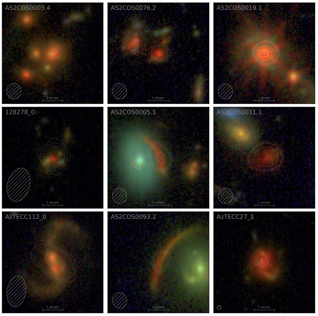 JWST and ALMA images of dust-obscured galaxies from SCUBADive